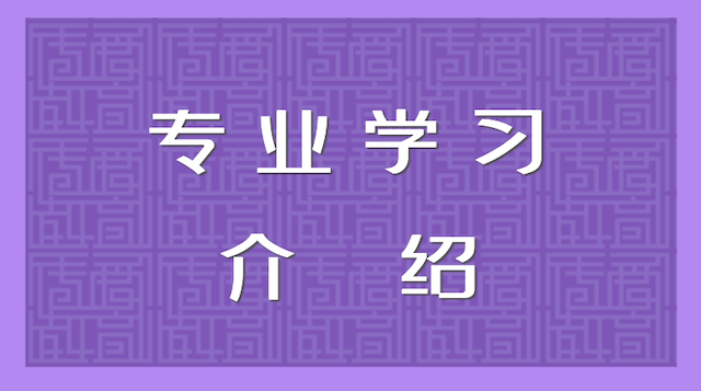 《专业学习》介绍