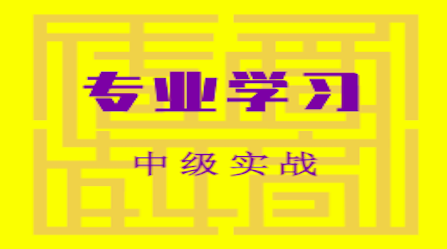 专业学习（中级）